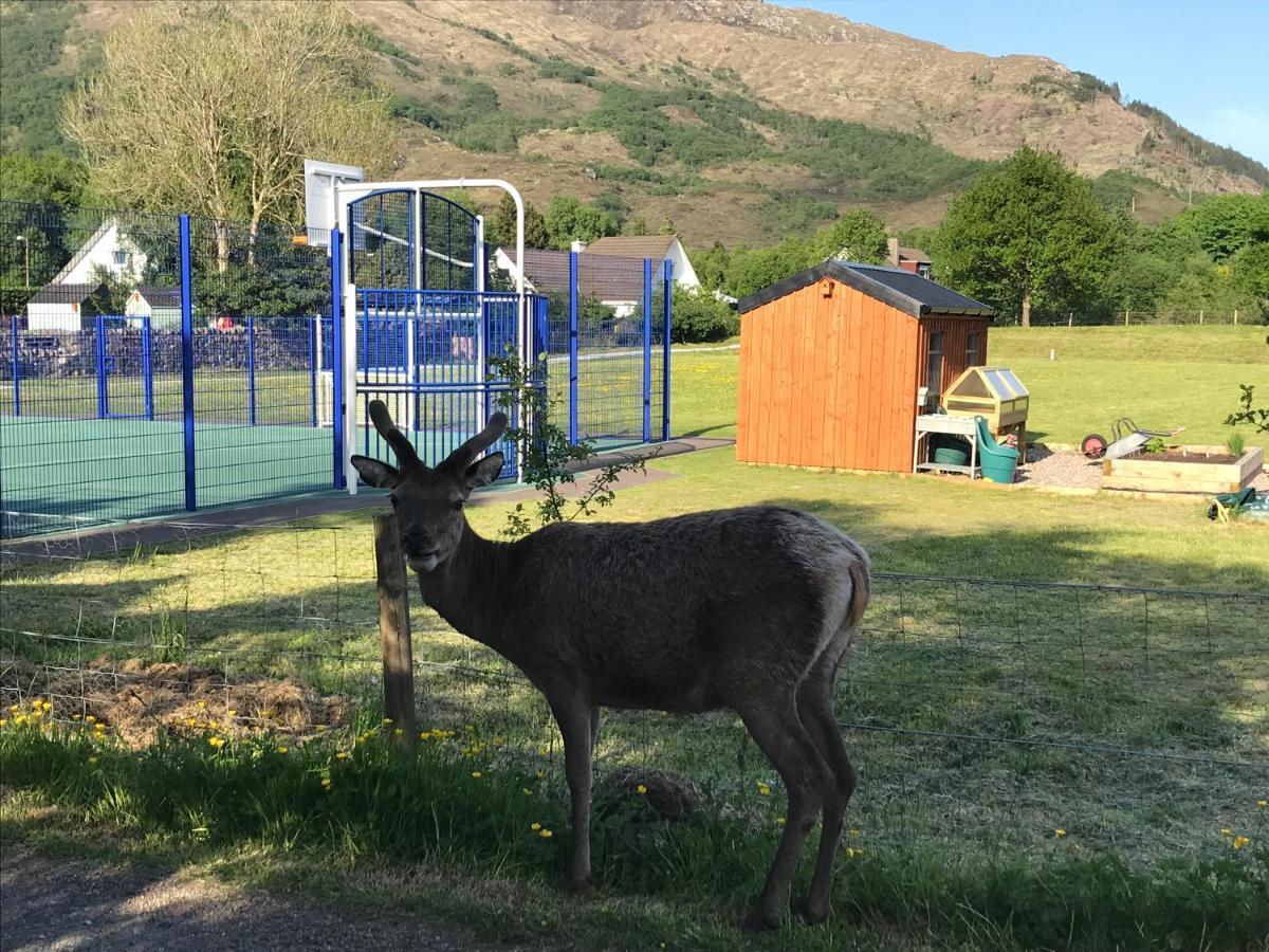 The Woolly Rock Bed & Breakfast North Ballachulish ภายนอก รูปภาพ